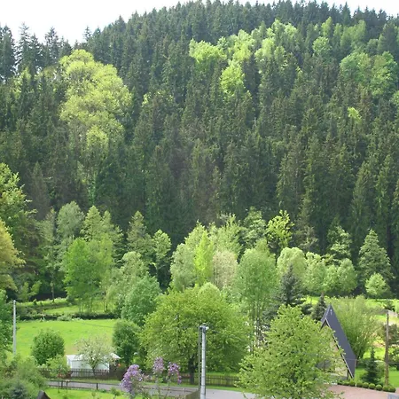 Mit Grosser Gemeinschaftsterrasse וילה Wunschendorf (Erzgebirgskreis)